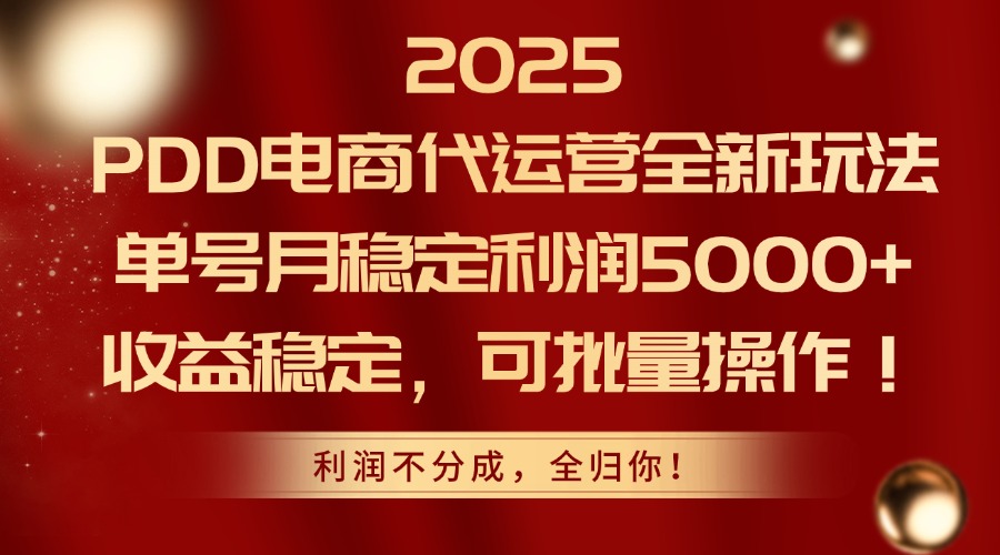 2025PDD电商代运营全新玩法，单号月稳定利润5000+，收益稳定，可批量操作-云创网
