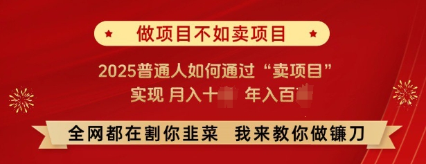 必看，做项目不如卖项目，2025普通人如何通过“卖项目”实现月入十个，年入百个-云创网