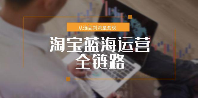 淘宝蓝海运营全链路，从选品到流量变现，小类目突围完整方案-云创网