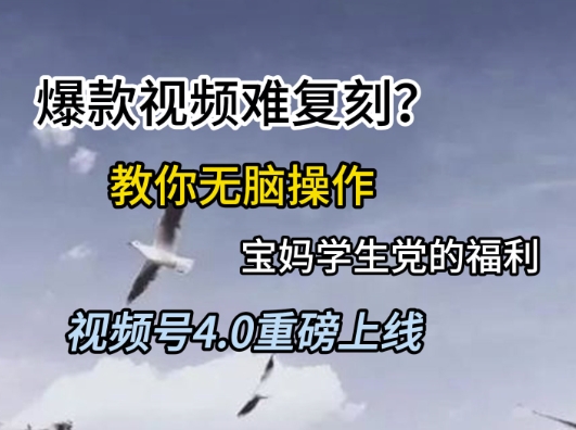 视频号4.0重磅上线，爆款视频难复刻？教你无脑操作宝妈学生党的福利【揭秘】-云创网