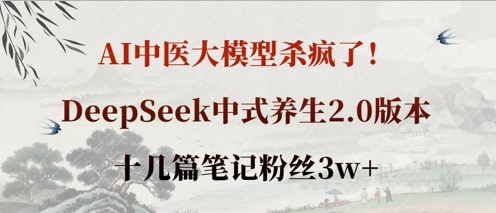 AI中医大模型杀疯了！DeepSeek中式养生2.0版本，十几篇笔记粉丝3w+-云创网