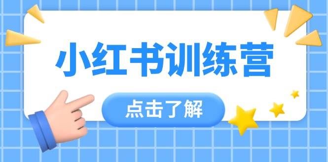 小红书训练营，助小白入门，掌握技巧变达人，课程实操又全面(12节课)-云创网