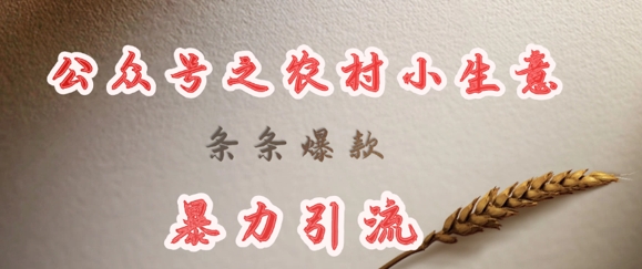 deepseek写农村小项目，条条爆款，暴力引流-云创网