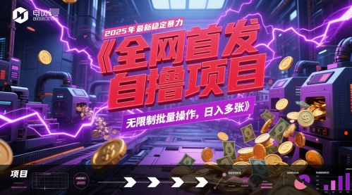 全网首发，2025年最新稳定暴力全自动自撸项目，无限制批量操作，日入多张【揭秘】-云创网