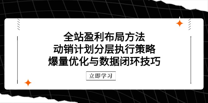 全站盈利布局方法：动销计划分层执行策略，爆量优化与数据闭环技巧-云创网