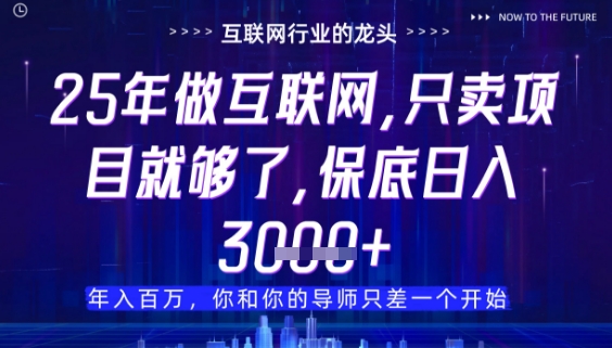 什么！25年你还在找项目做？风口早就变了，卖项目才是稳挣不赔【揭秘】-云创网