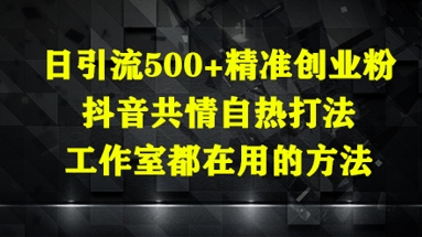 日引流500+精准创业粉，抖音共情自热打法，工作室都在用的方法-云创网