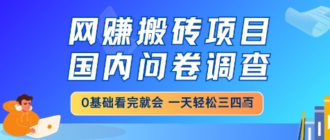 网创搬砖项目，国内问卷调查，小白轻松上手，一天三四张的也不难，干就完了【揭秘】-云创网