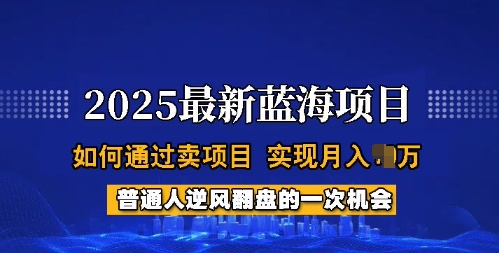 2025蓝海项目，普通人如何通过卖项目，实现月入过W，全过程【揭秘】-云创网