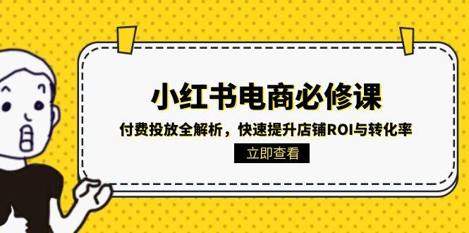 小红书电商必修课：付费投放全解析，快速提升店铺ROI与转化率-云创网