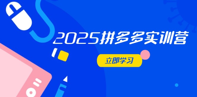 2025拼多多实训营：深度剖析运营关键，助力电商人快速提升-云创网