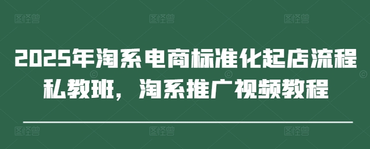 2025年淘系电商标准化起店流程私教班，淘系推广视频教程-云创网