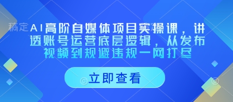AI高阶自媒体项目实操课，讲透账号运营底层逻辑，从发布视频到规避违规一网打尽-云创网