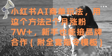 小红书AI商单玩法，用这个方法2个月涨粉7W+，新手也能接品牌合作(附全套指令模板)-云创网