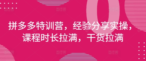 拼多多特训营，经验分享实操，课程时长拉满，干货拉满(更新25年4月)-云创网