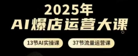 2025年AI爆店运营大课，13节AI实操课+37节流量运营课-云创网