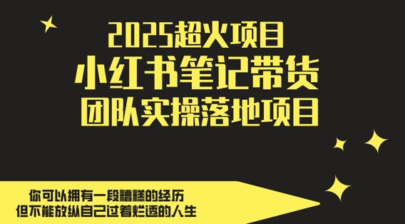 2025超火项目，副业最佳选择，小红书笔记带货团队实操落地项目，，轻松日入5张-云创网