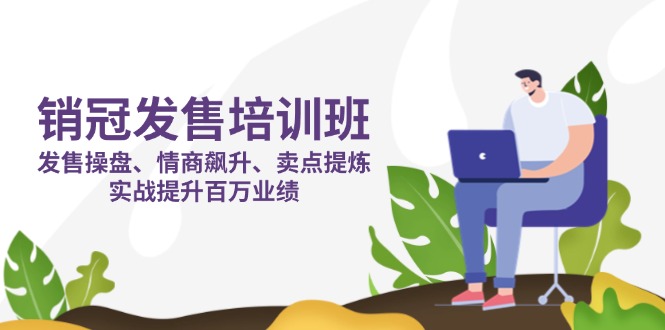 销冠 发售培训班：发售 操盘+情商 飙升+卖点 提炼，实战提升百万业绩-云创网
