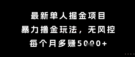 最新单人掘金项目，暴力撸金玩法，无风控，每个月多挣5k+【揭秘】-云创网