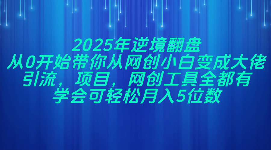 2025年逆境翻盘，从0开始带你从网创小白变成大佬，引流，项目，网创工...-云创网