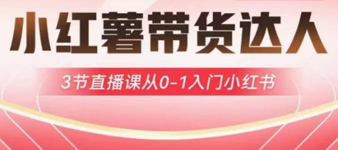 小红薯达人带货启航计划，3节直播课从0-1入门小红书-云创网