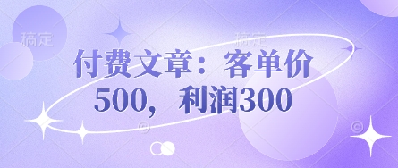 付费文章：客单价500，利润300-云创网