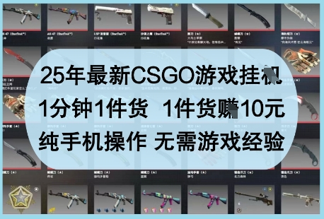 25年最新CSGO游戏挂G，1分钟1件货，1件货挣10元，纯手机操作，无需游戏经验【揭秘】-云创网