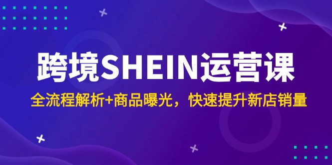 跨境SHEIN运营课，全流程解析+商品曝光，快速提升新店销量-云创网