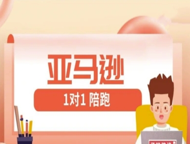 亚马逊1对1陪跑课(FBA/FBM精铺)跨境亚马逊教程-云创网