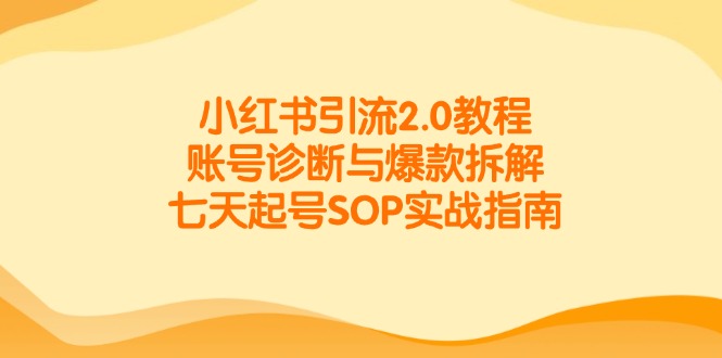 小红书引流2.0教程，账号诊断与爆款拆解，七天起号SOP实战指南-云创网