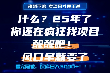 什么？25年你还在疯狂找项目做，醒醒吧，看完这些你全都懂了！【揭秘】-云创网
