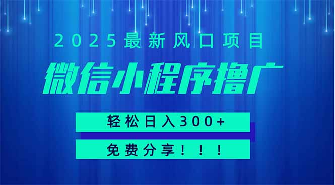微信小程序撸广，最新风口项目，日入300+ 免费分享 可批量操作 小白可...-云创网