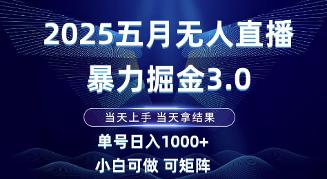 2025五月无人直播暴力掘金3.0，当天上手，当天拿结果，单号日入1k+小白可做可矩阵【揭秘】-云创网