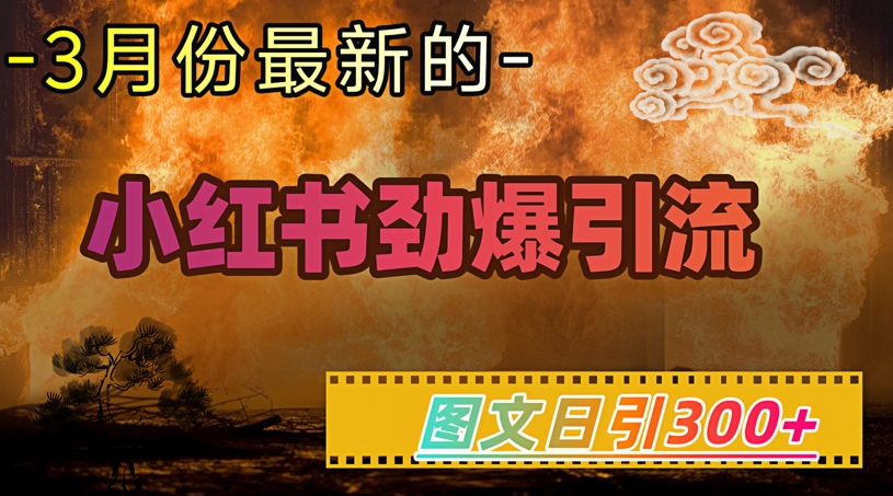 小红书超劲爆引流手段，图文日引300+轻松变现1W-云创网