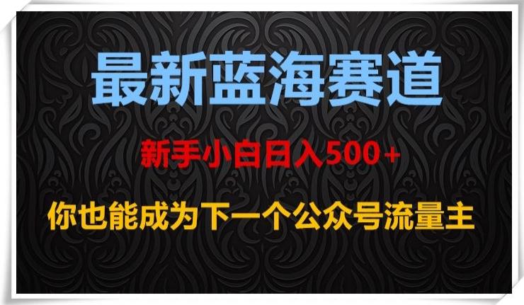 最新蓝海赛道，新手小白日入500+，你也能成为下一个公众号流量主【揭秘】-云创网