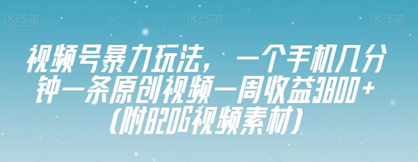 视频号暴力玩法，一个手机几分钟一条原创视频一周收益3800+（附820G视频素材）-云创网