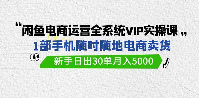 (9547期)闲鱼电商运营全系统VIP实战课，1部手机随时随地卖货，新手日出30单月入5000-云创网