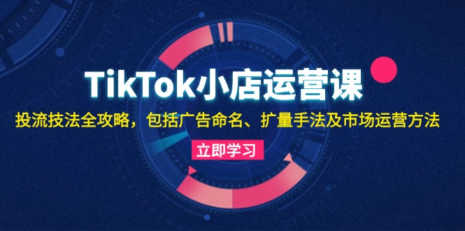 TikTok小店运营课：投流技法全攻略，包括广告命名 扩量手法及市场运营方法-云创网