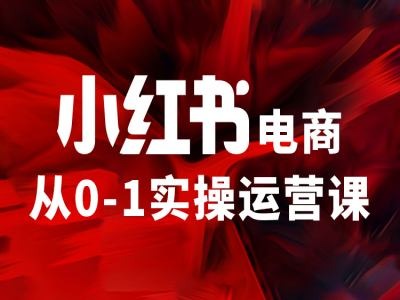 小红书电商从0-1实操运营课，让你从小白到精英-云创网