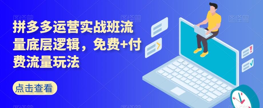 拼多多运营实战班流量底层逻辑，免费+付费流量玩法-云创网
