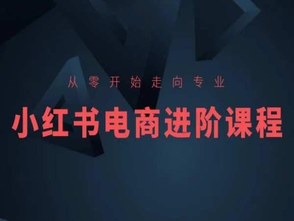 从零开始走向专业，小红书电商进阶课程-云创网