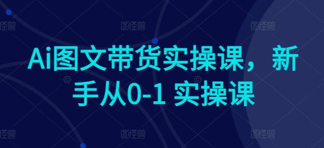 Ai图文带货实操课，新手从0-1 实操课-云创网