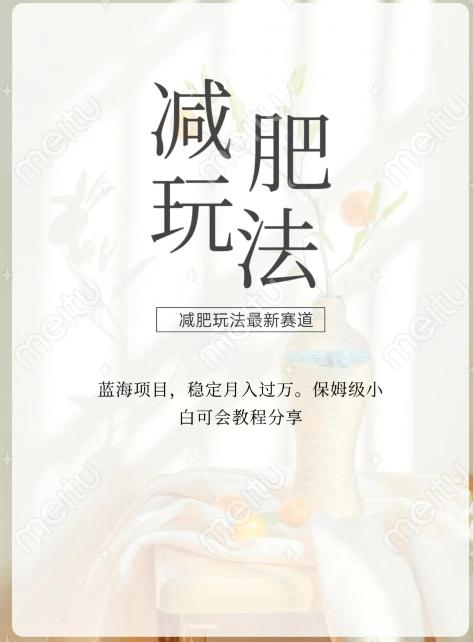 减肥流量主新玩法，轻松月入1W，可矩阵操作收入翻倍-云创网