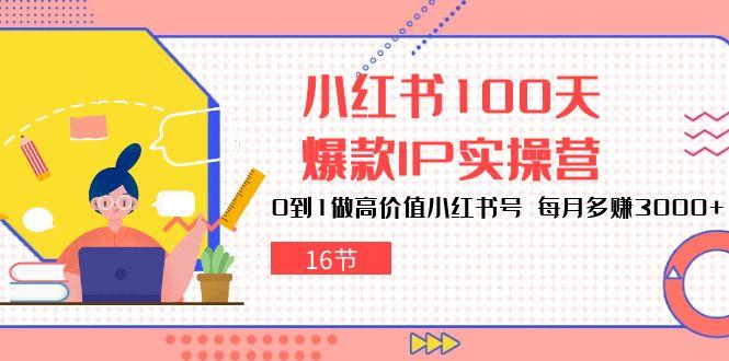 小红书100天-爆款IP实操营，0到1做高价值小红书号 每月多赚3000+(16节-云创网
