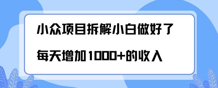 小众项目拆解，小白做好了每天可增加1000多的收入-云创网