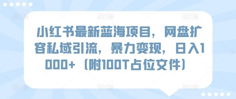 小红书最新蓝海项目，网盘扩容私域引流，暴力变现，日入1000+(附100T占位文件)【揭秘】-云创网