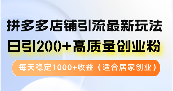拼多多店铺引流最新玩法，日引200+高质量创业粉，每天稳定1000+收益(...-云创网