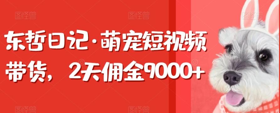 东哲日记·萌宠短视频带货，2天佣金9000+-云创网
