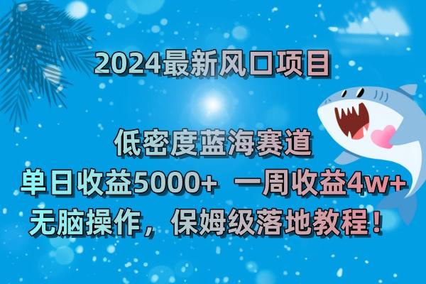 (8545期)2024最新风口项目 低密度蓝海赛道，日收益5000+周收益4w+ 无脑操作，保…-云创网