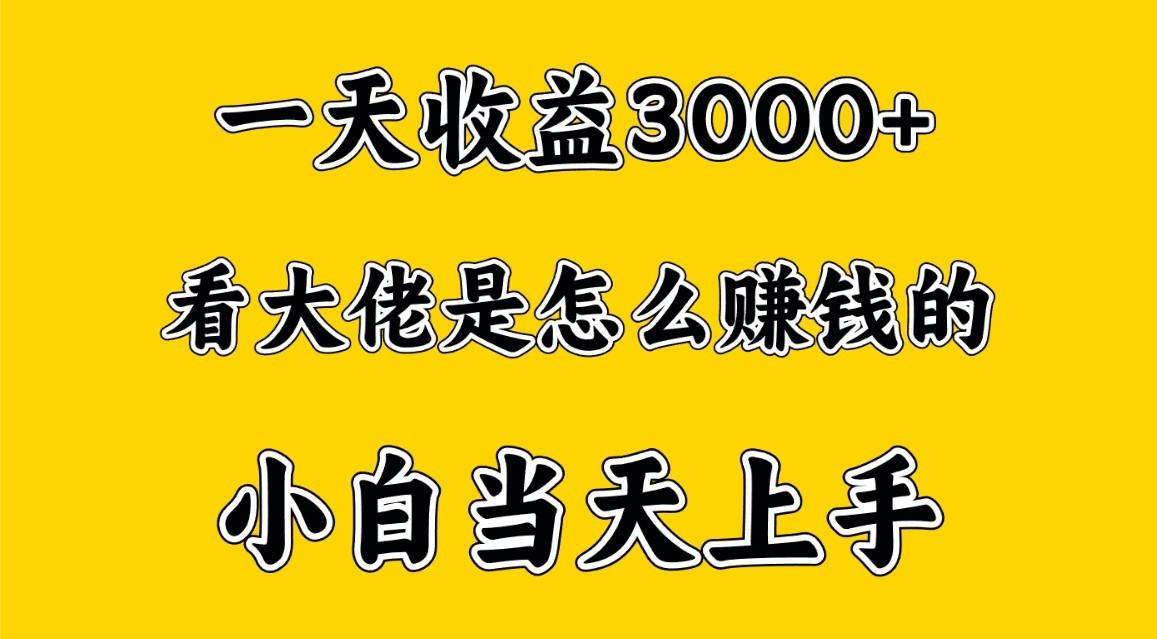 一天赚3000多，大佬是这样赚到钱的，小白当天上手，穷人翻身项目-云创网